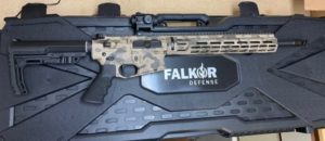 Falkor Defense May 2021 Giveaway Winner